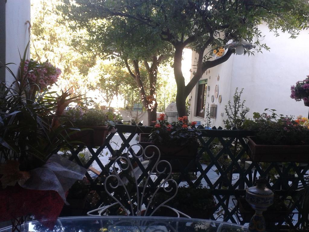 B&B Albatros Lipari Szoba fotó
