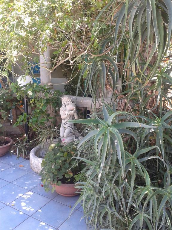 B&B Albatros Lipari Kültér fotó