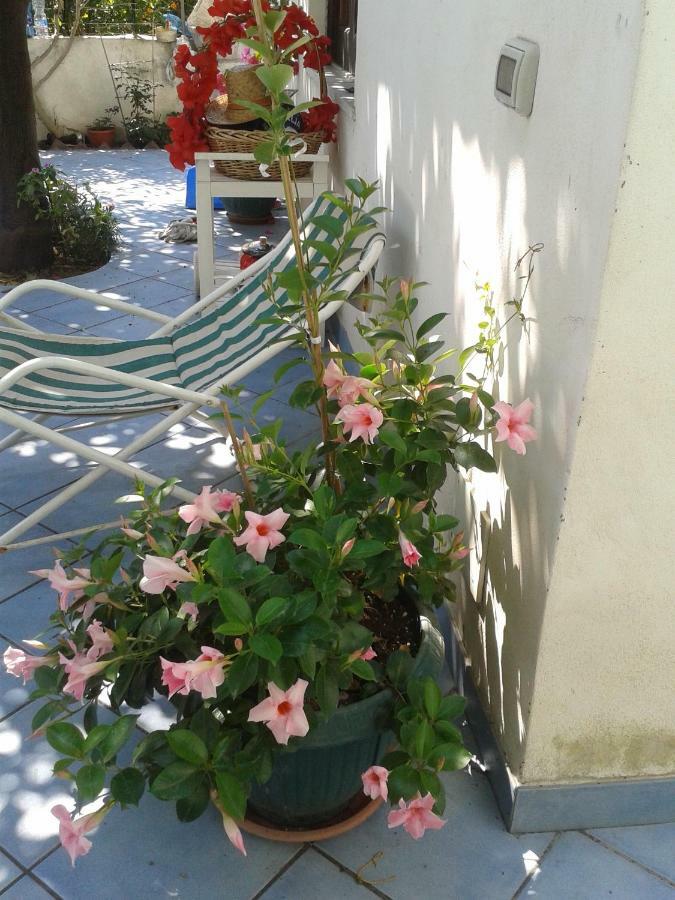 B&B Albatros Lipari Kültér fotó